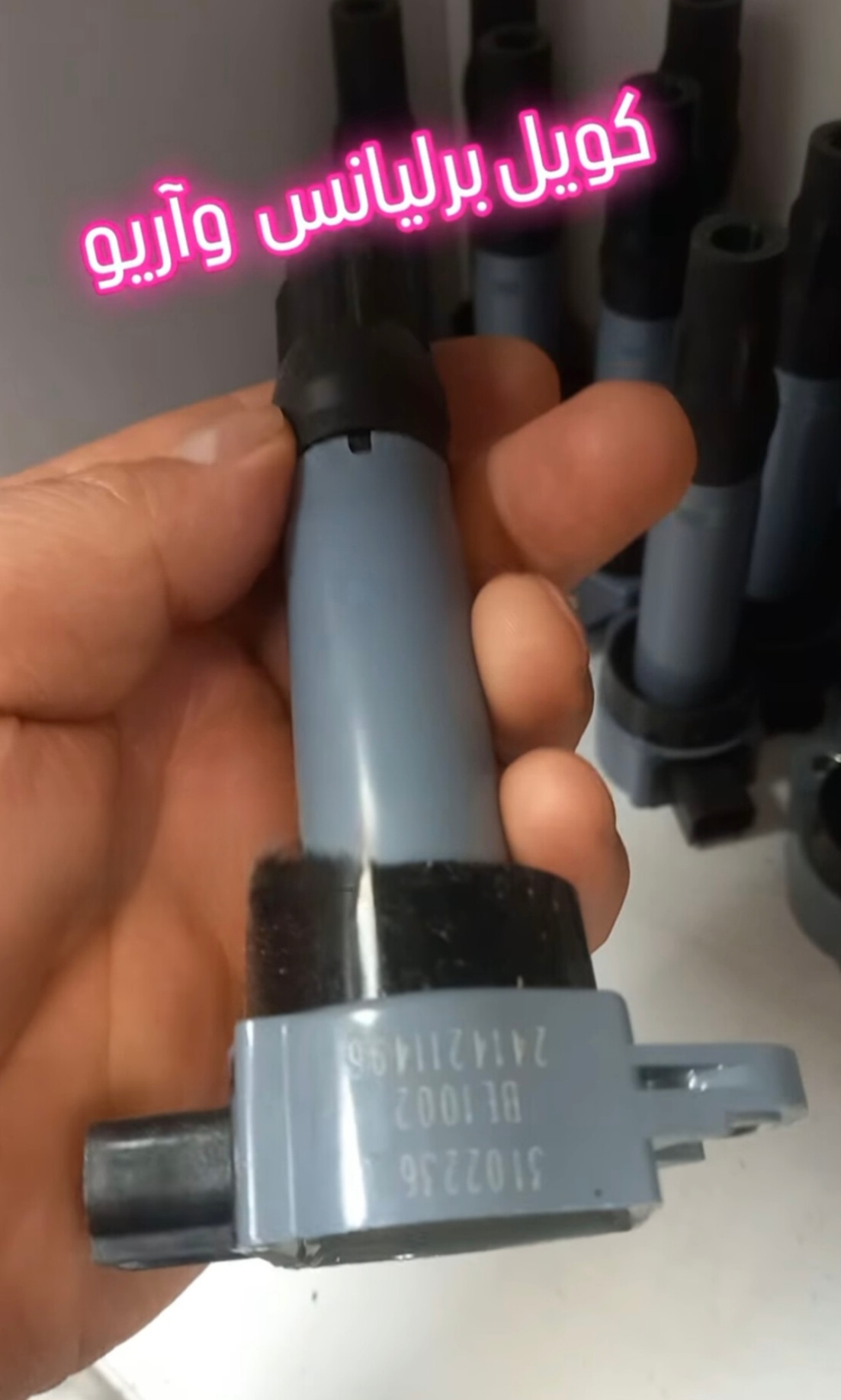 کوئل برلیانس و آریو