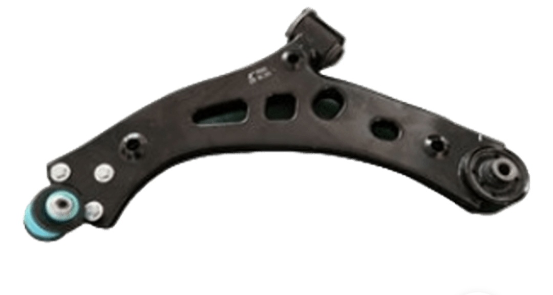 طبق جلو چپ لاماری