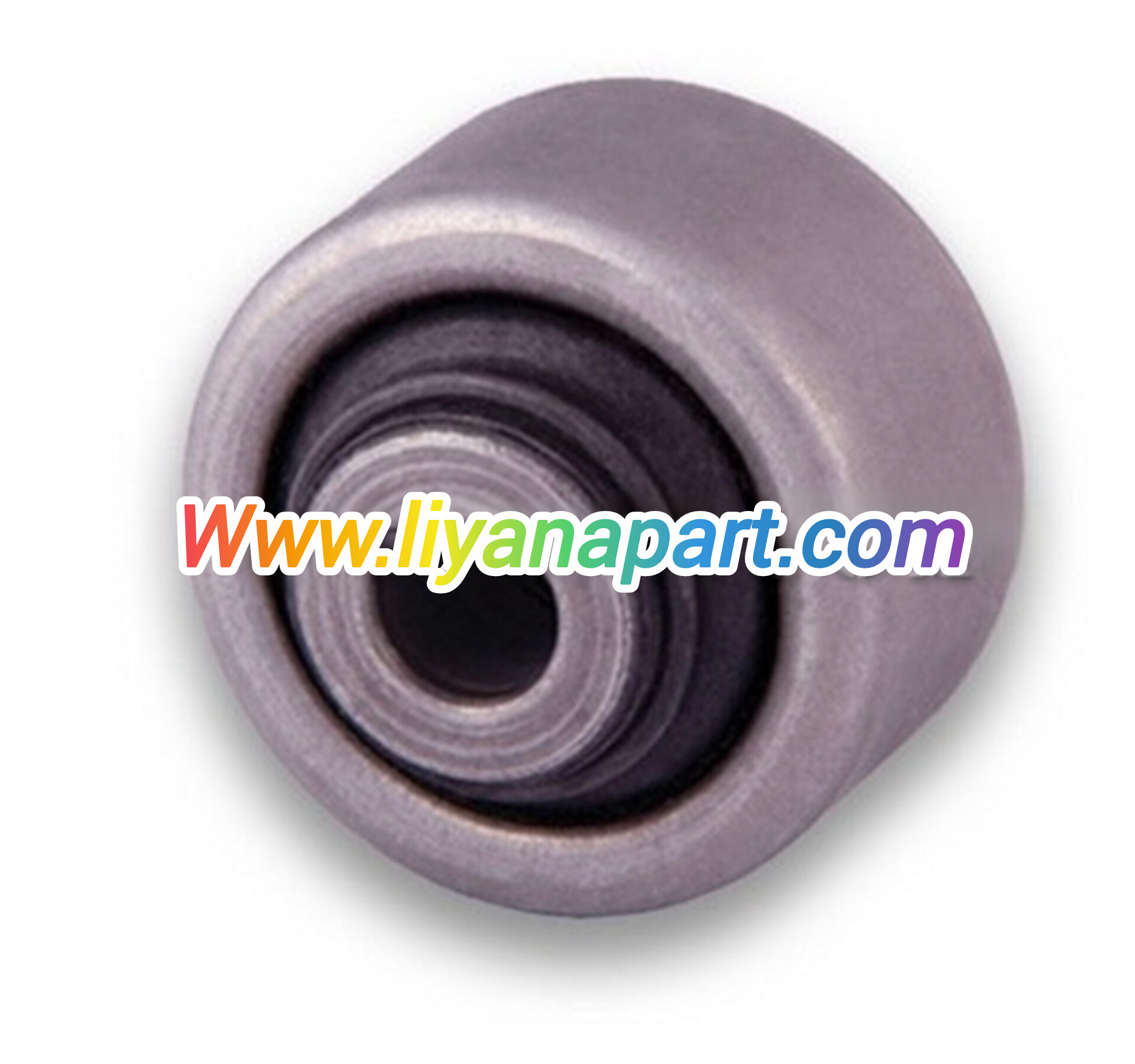 بوش طبق راست دیگنیتی