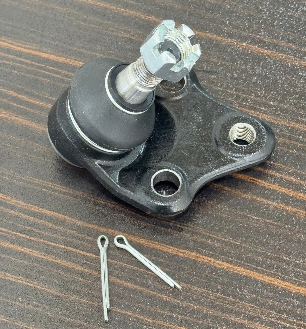 سیبک طبق فیدلیتی