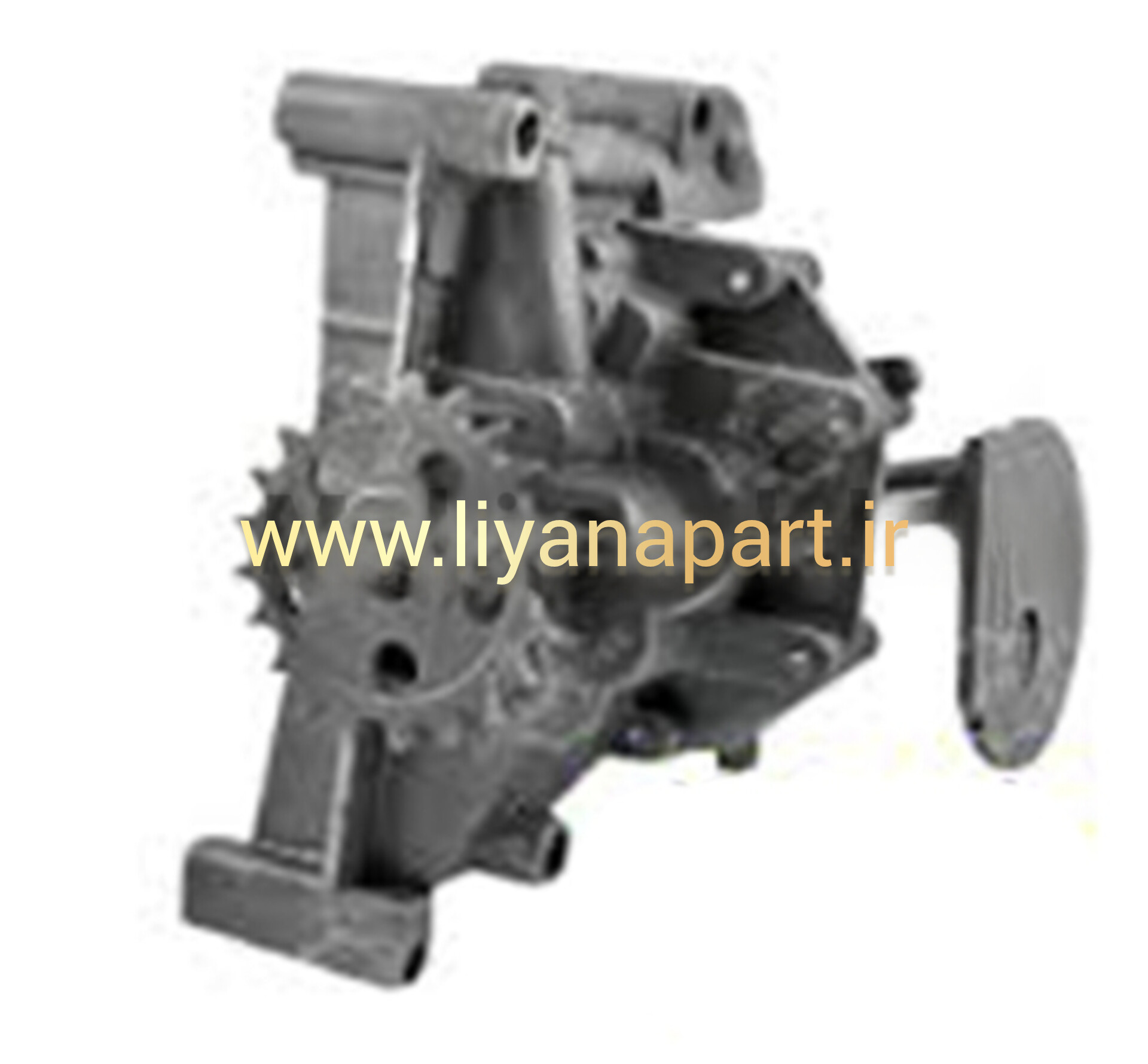 اویل پمپ دیگنیتی