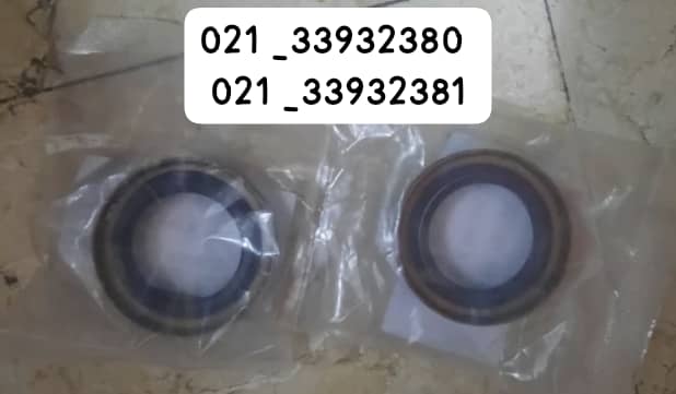 کاسه نمد پلوس برلیانس۲۲۰ جفت